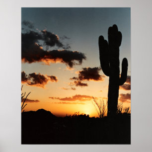 Arizona Sunset Poster