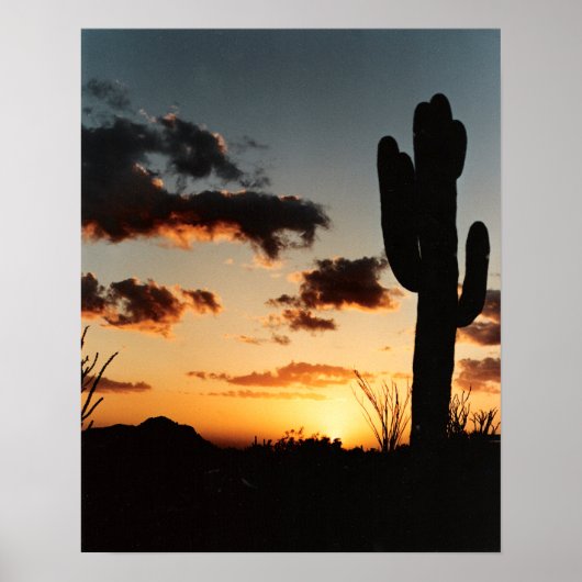 Arizona Sunset Poster (Voorkant)