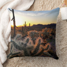 Arizona Sunset Sonoran Desert met Saguaro Cactus