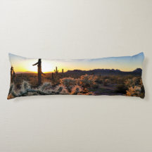 Arizona Sunset Sonoran Desert met Saguaro Cactus