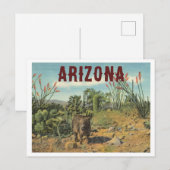 Arizona Vintage Desert Cactus and Javelina Briefkaart (Voorkant / Achterkant)
