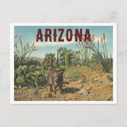 Arizona Vintage Desert Cactus and Javelina Briefkaart (Voorkant)