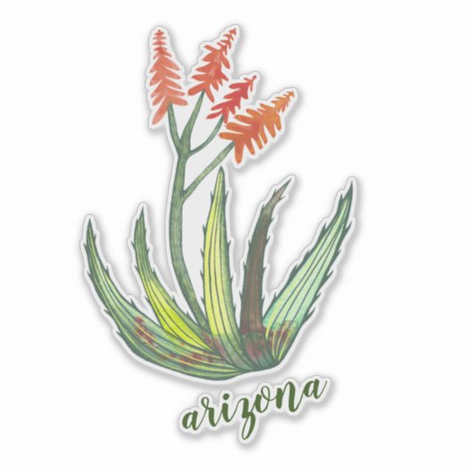 ARIZONA Waterverf Aloe Vera Succulent FLowers Sticker (Voorkant)