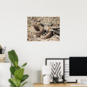 Arizona Western Diamondback Rattlesnake Poster (Thuiskantoor)
