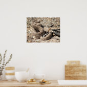 Arizona Western Diamondback Rattlesnake Poster (Keuken)