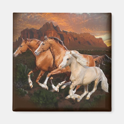 Arizona wilde paarden magneet (Voorkant)