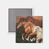 Arizona wilde paarden magneet (Voorkant / Achterkant)