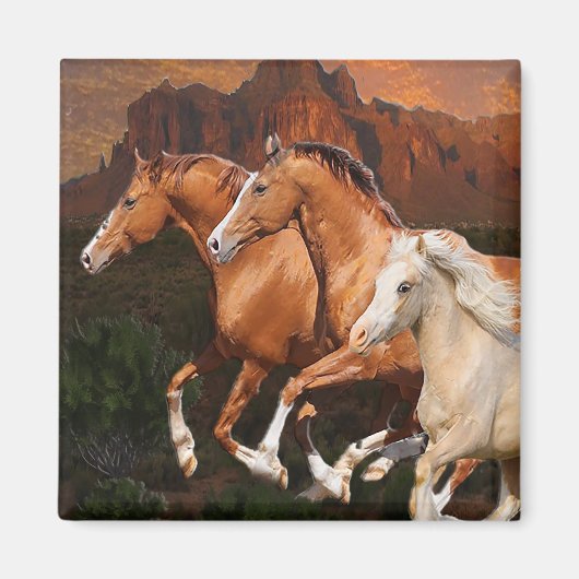 Arizona wilde paarden magneet (Voorkant)