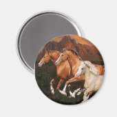 Arizona wilde paarden magneet (Voorkant / Achterkant)
