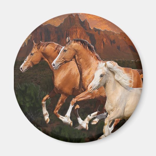 Arizona wilde paarden magneet (Voorkant)