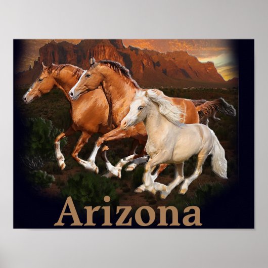 Arizona Wilde Paarden Poster (Voorkant)