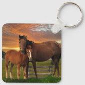 Arizona wilde paarden sleutelhanger (Achterkant)