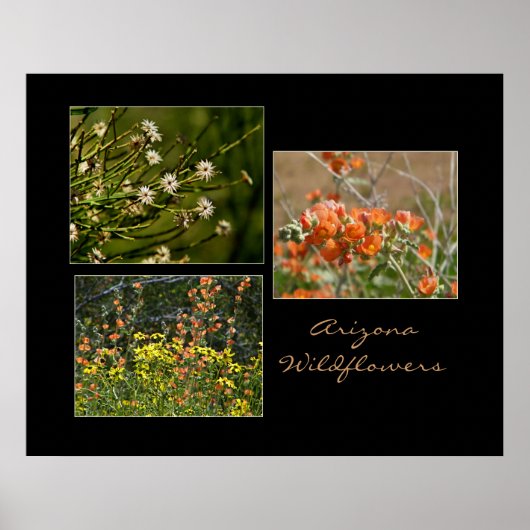 Arizona-wildebloemenprint Poster (Voorkant)