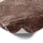 Arizona Windmill Poster (Hoek)