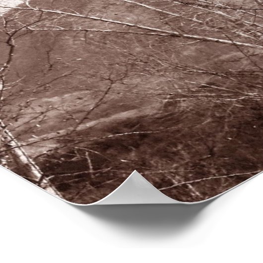 Arizona Windmill Poster (Hoek)