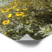 Arizona woestijn geel bloemen landschap poster (Hoek)