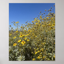 Arizona woestijn geel bloemen landschap poster
