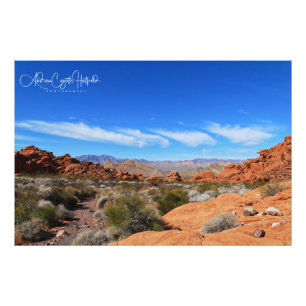 Arizona Woestijn Scène Foto Afdruk
