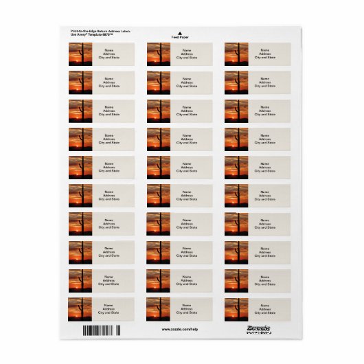 Arizona zonsondergang, cactus, etiket (Full Sheet)