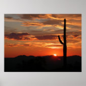 Arizona Zonsondergang Poster (Voorkant)