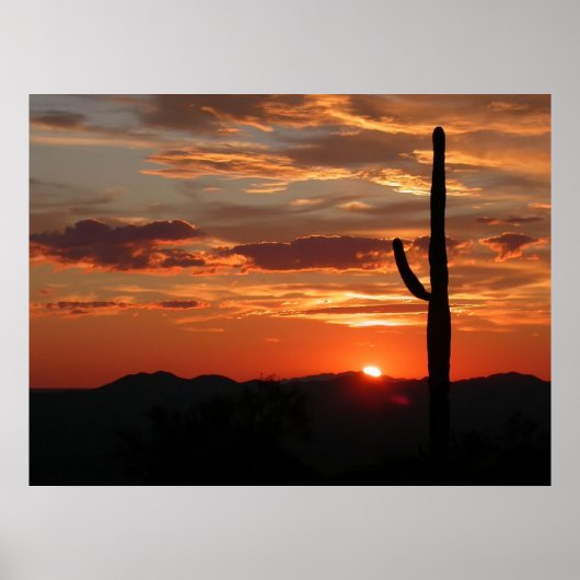 Arizona Zonsondergang Poster (Voorkant)