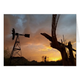 Arizona Zonsondergang Windmolen Saguaro Cactus Ske