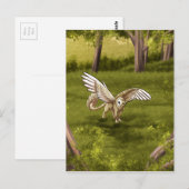 Arkaen - Barn Owl Griffin Briefkaart (Voorkant / Achterkant)