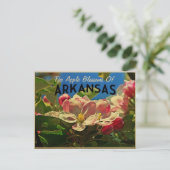 Arkansas Apple Blossom Briefkaart (Staand voorkant)