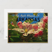 Arkansas Apple Blossom Briefkaart (Voorkant / Achterkant)