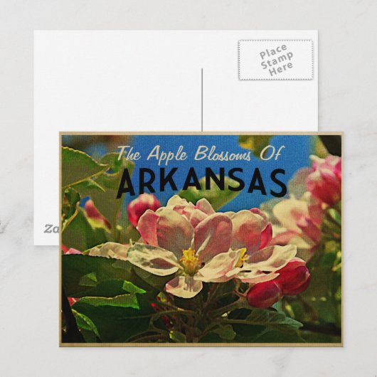 Arkansas Apple Blossom Briefkaart (Voorkant / Achterkant)