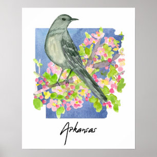 Arkansas De Natuurstaat Spotlijster Appelbloesems Poster