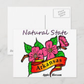 Arkansas Natural State Apple Blossom Briefkaart (Voorkant / Achterkant)