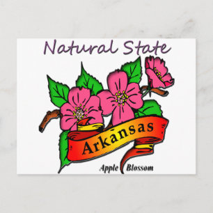 Arkansas Natural State Apple Blossom Briefkaart