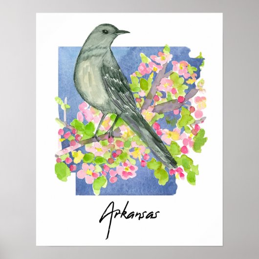 Arkansas Natural State Mockingbird Apple Blossoms Poster (Voorkant)
