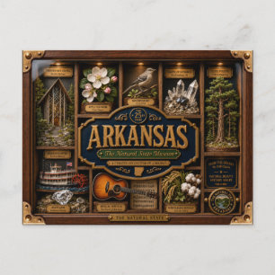 Arkansas Shadow Box 3D Figuur Staat Briefkaart