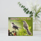 Arkansas State Bird - Mockingbird Briefkaart (Staand voorkant)