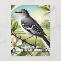 Arkansas State Bird Northern Mockingbird
