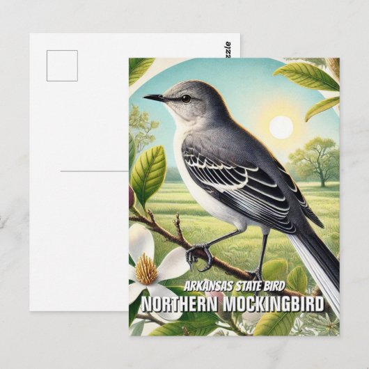 Arkansas State Bird Northern Mockingbird Briefkaart (Voorkant / Achterkant)