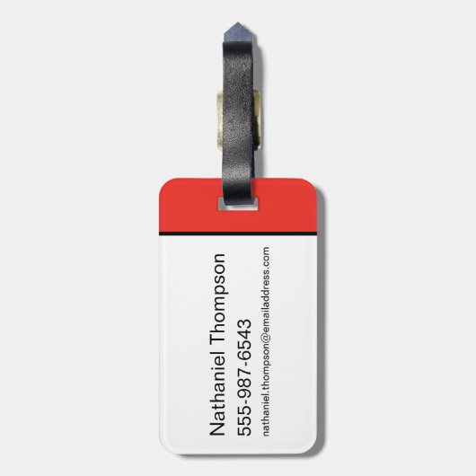 Arkham Asylum: Beperkt Bagagelabel (Achterkant verticaal)