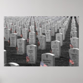 Arlington B&W-vlag Kleur Poster (Voorkant)