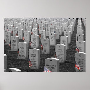 Arlington B&W-vlag Kleur Poster