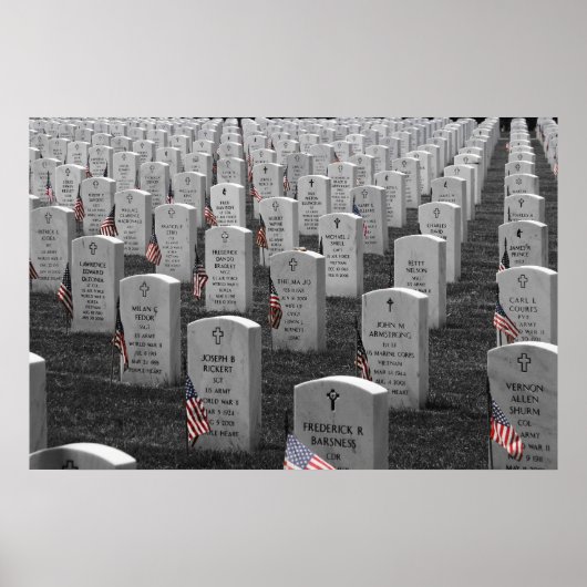 Arlington B&W-vlag Kleur Poster (Voorkant)