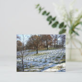 Arlington Briefkaart (Staand voorkant)