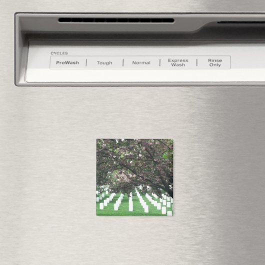 Arlington Cemetery Magnet (Insitu (Vaatwasser))