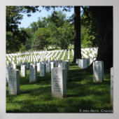 Arlington Cemetery Poster (Voorkant)
