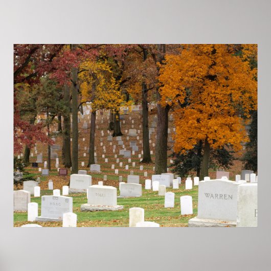 Arlington Cemetery Poster (Voorkant)