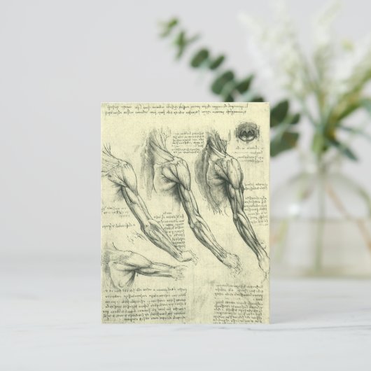 Arm en schouder Anatomie door Leonardo da Vinci Briefkaart (Staand voorkant)
