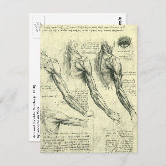 Arm en schouder Anatomie door Leonardo da Vinci Briefkaart (Voorkant / Achterkant)