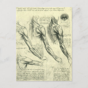 Arm en schouder Anatomie door Leonardo da Vinci Briefkaart