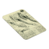 Arm en schouder Anatomie door Leonardo da Vinci Magneet (Rechterzijde)